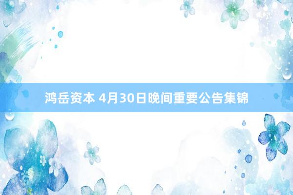 鸿岳资本 4月30日晚间重要公告集锦